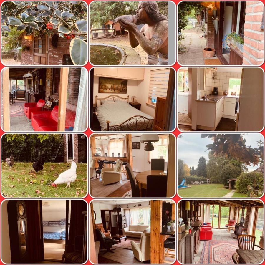 Leuk Vakantiehuisje 6P บรุนซุม ภายนอก รูปภาพ
