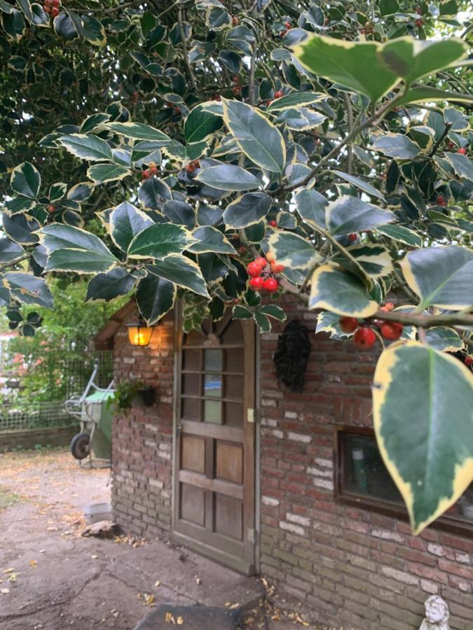 Leuk Vakantiehuisje 6P บรุนซุม ภายนอก รูปภาพ